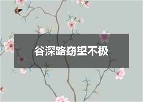 谷深路窈望不极