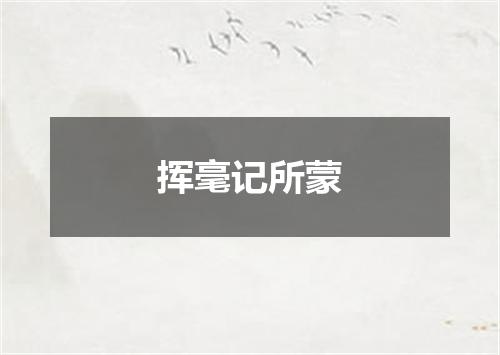 挥毫记所蒙