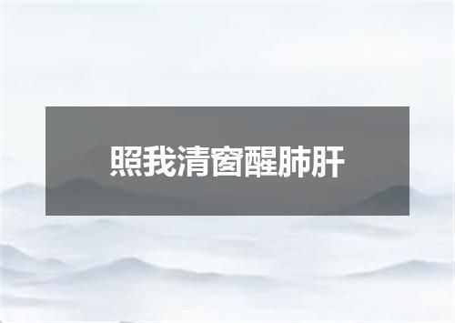照我清窗醒肺肝