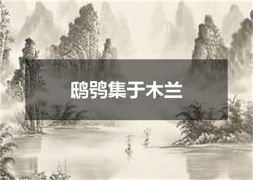鸱鸮集于木兰
