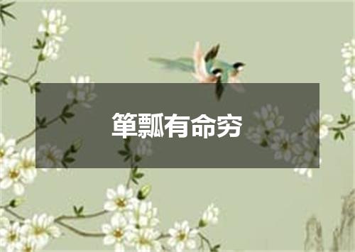 箪瓢有命穷