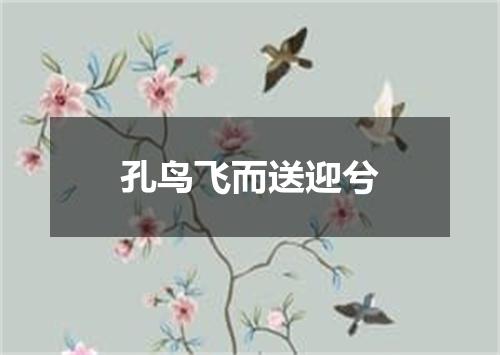 孔鸟飞而送迎兮