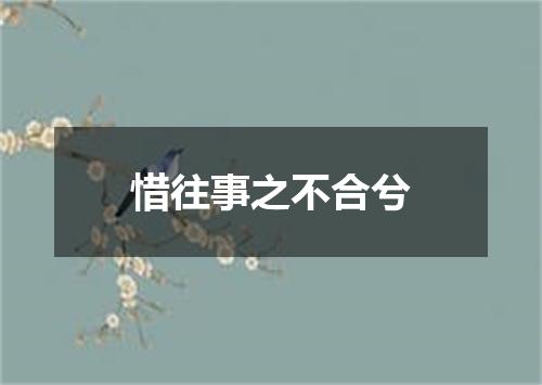 惜往事之不合兮