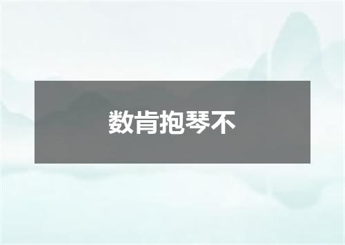 数肯抱琴不