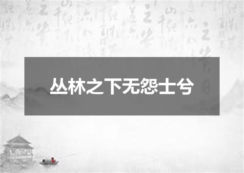 丛林之下无怨士兮