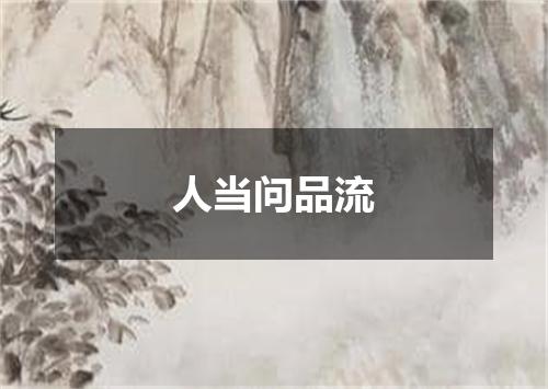 人当问品流