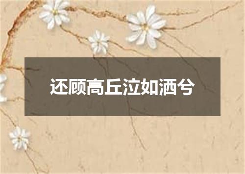 还顾高丘泣如洒兮