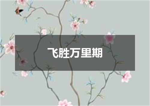 飞胜万里期