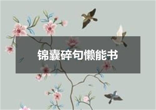 锦囊碎句懒能书