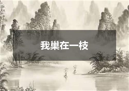 我巢在一枝