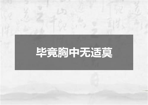 毕竟胸中无适莫