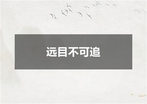 远目不可追