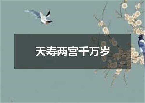 天寿两宫千万岁
