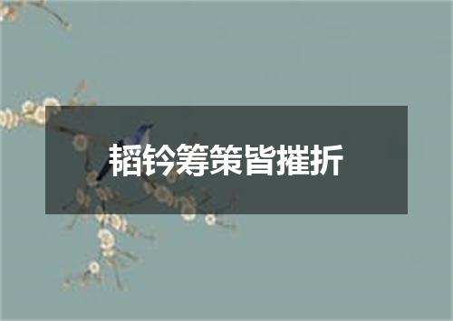 韬钤筹策皆摧折