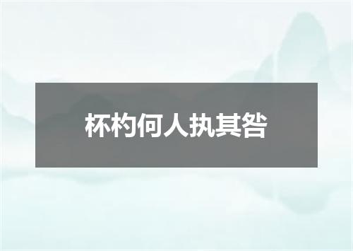 杯杓何人执其咎
