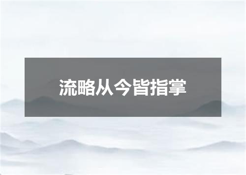 流略从今皆指掌