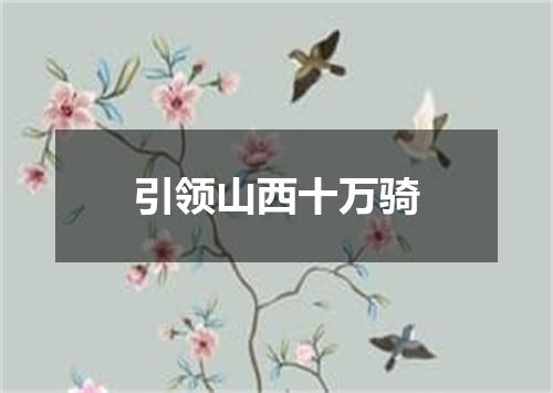 引领山西十万骑