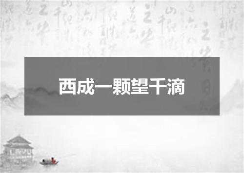 西成一颗望千滴