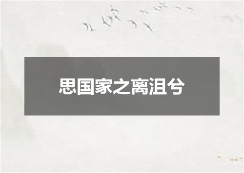 思国家之离沮兮