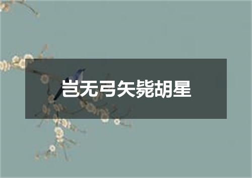 岂无弓矢毙胡星