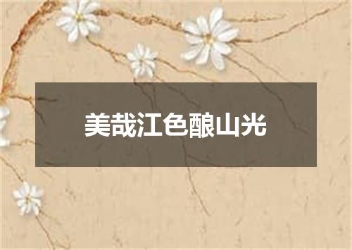 美哉江色酿山光