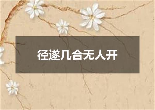 径遂几合无人开