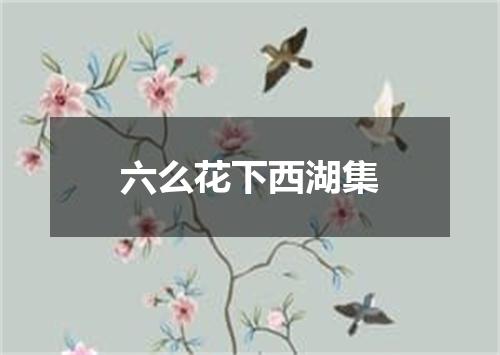 六么花下西湖集