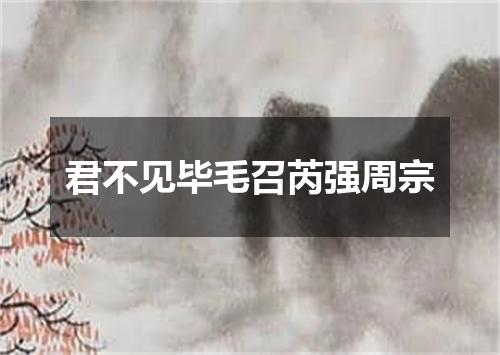 君不见毕毛召芮强周宗