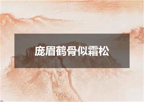 庞眉鹤骨似霜松
