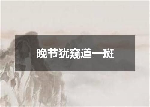 晚节犹窥道一斑
