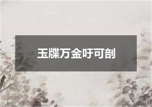玉牒万金吁可剖