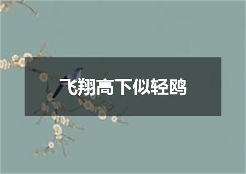 飞翔高下似轻鸥