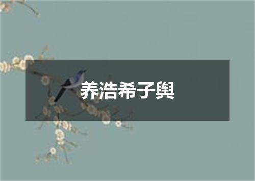 养浩希子舆