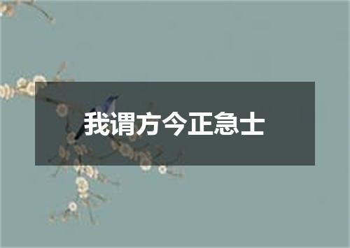 我谓方今正急士