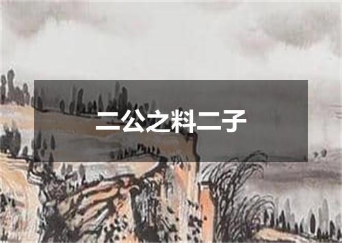 二公之料二子