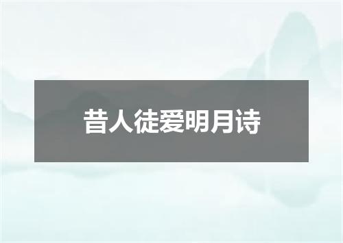 昔人徒爱明月诗