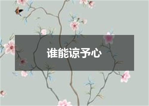 谁能谅予心
