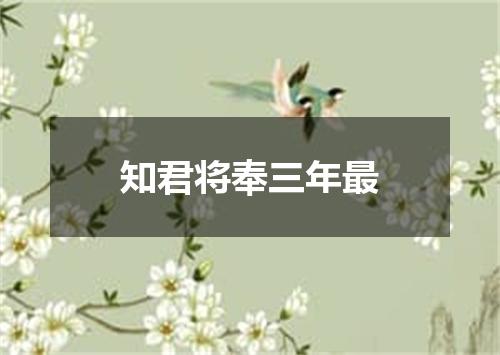 知君将奉三年最