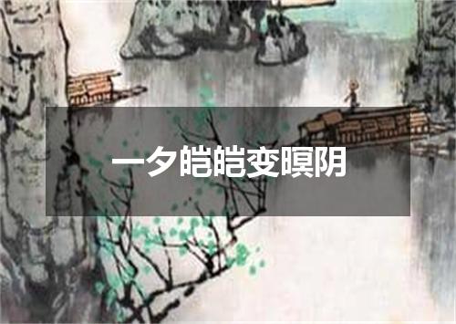 一夕皑皑变暝阴
