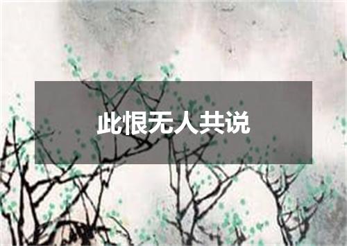 此恨无人共说