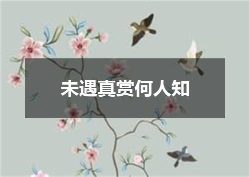 未遇真赏何人知