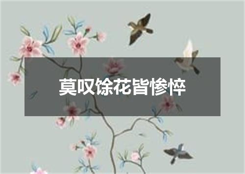 莫叹馀花皆惨悴
