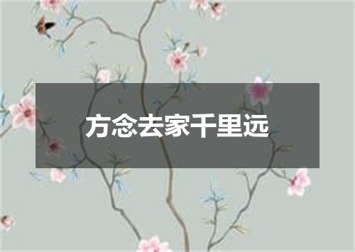 方念去家千里远