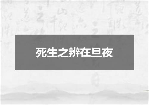 死生之辨在旦夜