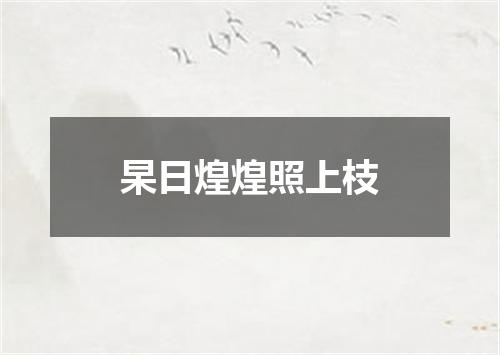 杲日煌煌照上枝