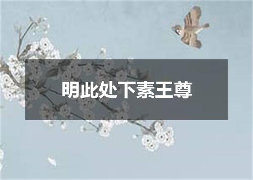 明此处下素王尊