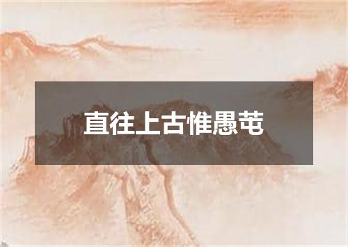 直往上古惟愚芚