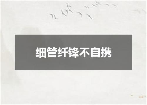 细管纤锋不自携