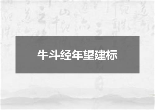 牛斗经年望建标