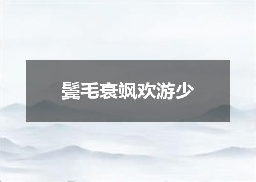 鬓毛衰飒欢游少